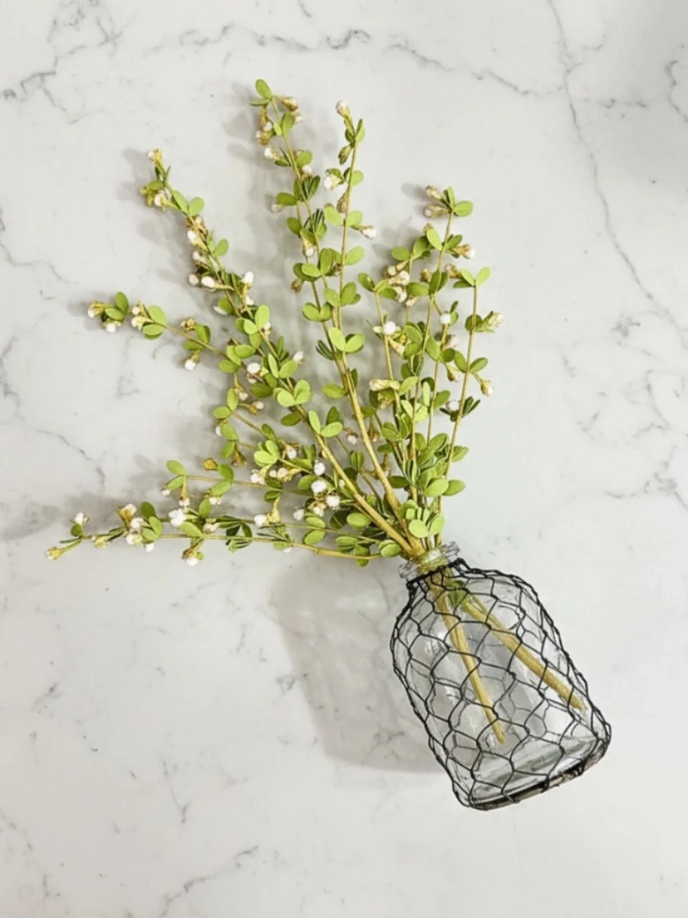 Glass Bottle Vase & Boxwood Floral Stems